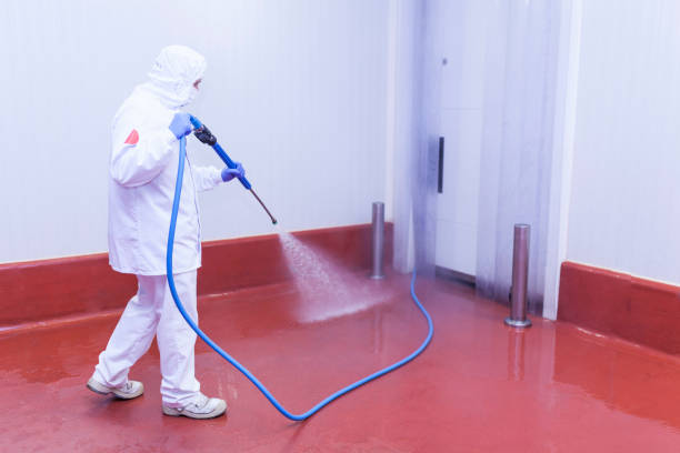 Best Building Exterior Pressure Washing in Williams, AZ
