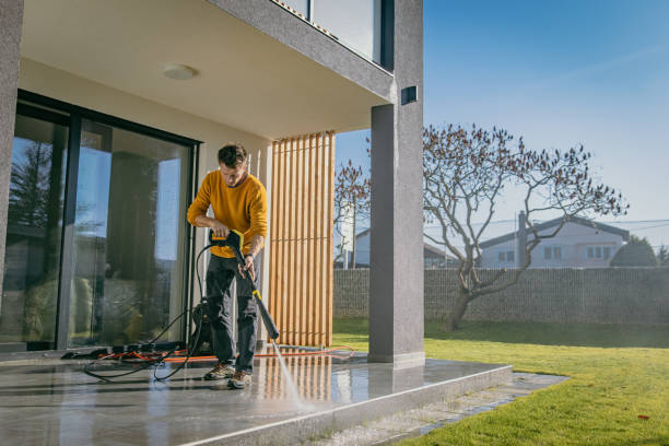Best Vinyl Siding Pressure Washing in Williams, AZ